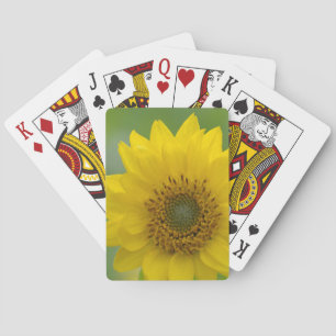 Jeu De Cartes Canada, Colombie-Britannique, île de Vancouver 7