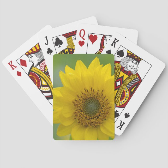 Jeu De Cartes Canada, Colombie-Britannique, île de Vancouver 7 (dos)