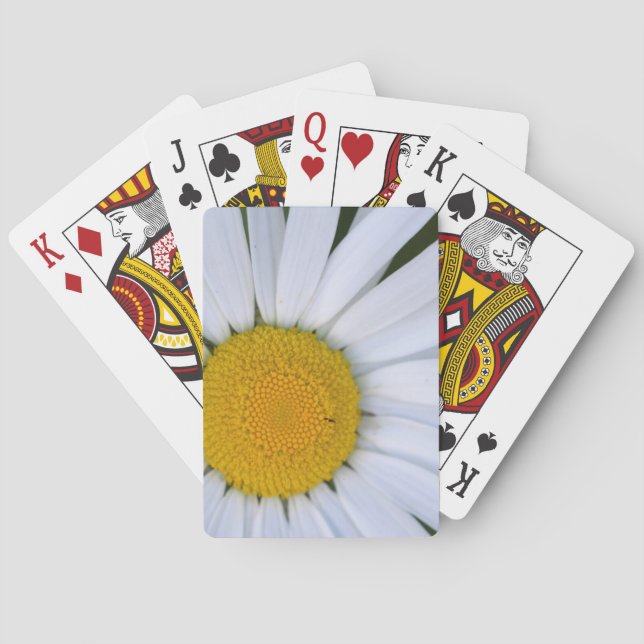 Jeu De Cartes Canada, Colombie-Britannique, île de Vancouver 8 (dos)