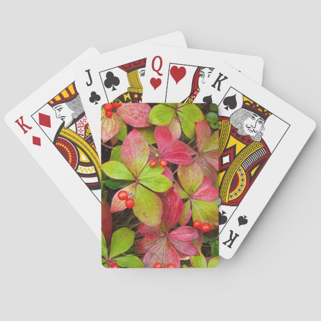 Jeu De Cartes Canada, Colombie-Britannique, mont Robson (dos)