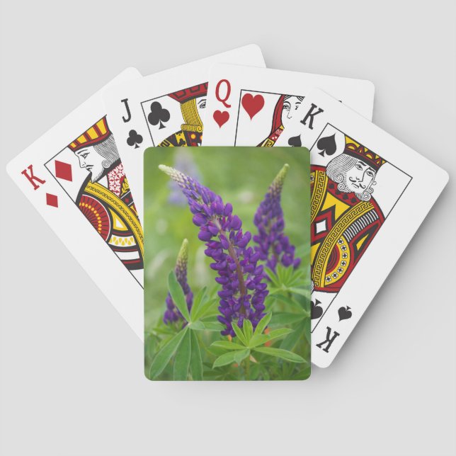 Jeu De Cartes Canada, Nouveau-Brunswick, . (dos)