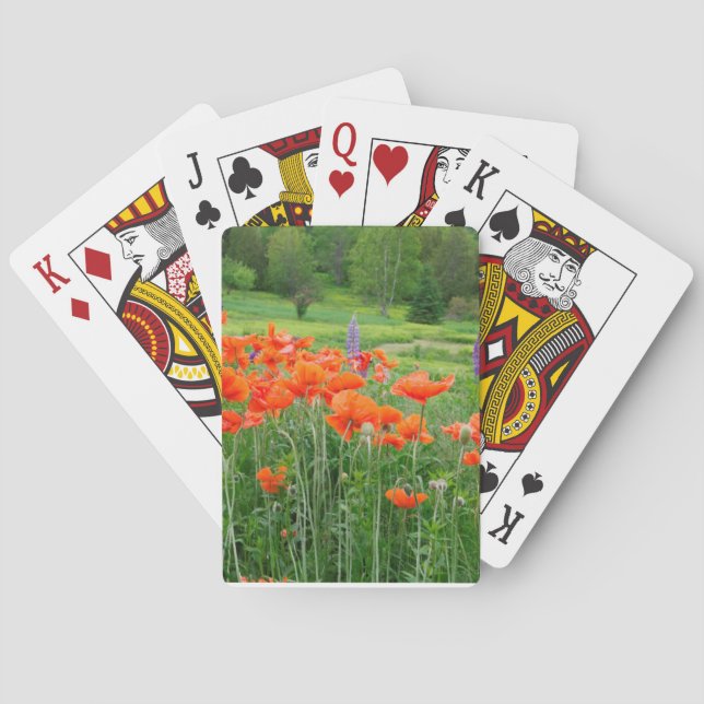 Jeu De Cartes Canada, Nouveau-Brunswick, . Paysage (dos)
