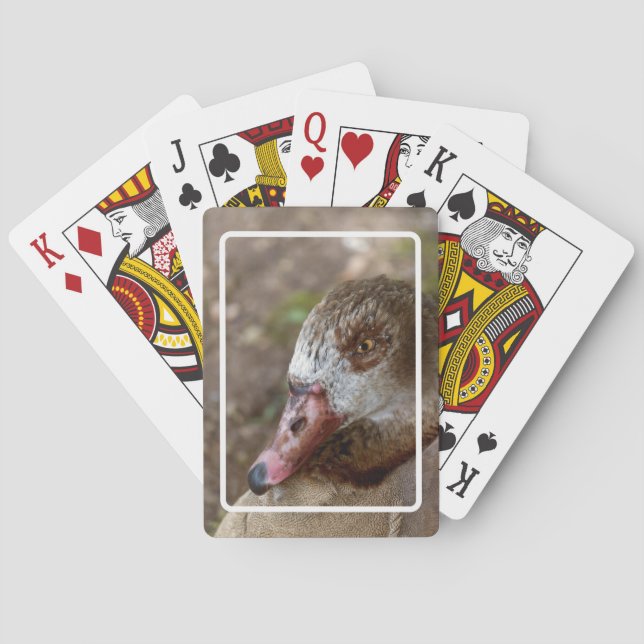 Jeu De Cartes Canard (dos)