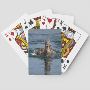Jeu De Cartes Canard avec bec ouvert                  
