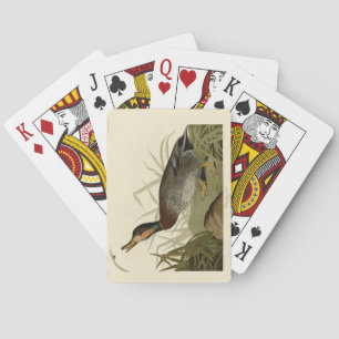 Jeu De Cartes Canard (Brewer's) dépecé, Audubon Birds Amérique