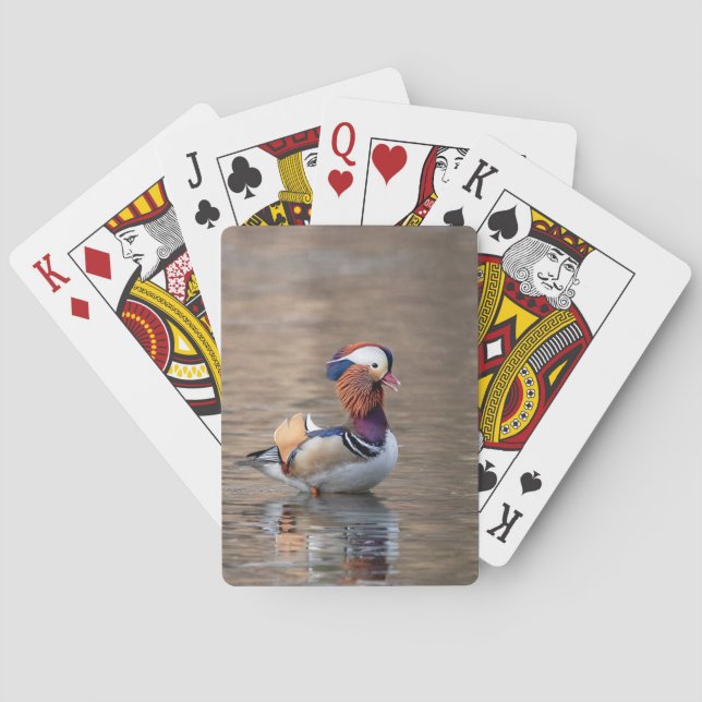 Jeu De Cartes Canard mandarin (dos)