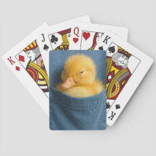 Jeu De Cartes Caneton jaune dans la poche d'un T-shirt bleu