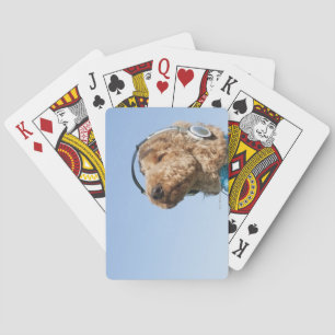 Jeu De Cartes Caniche standard