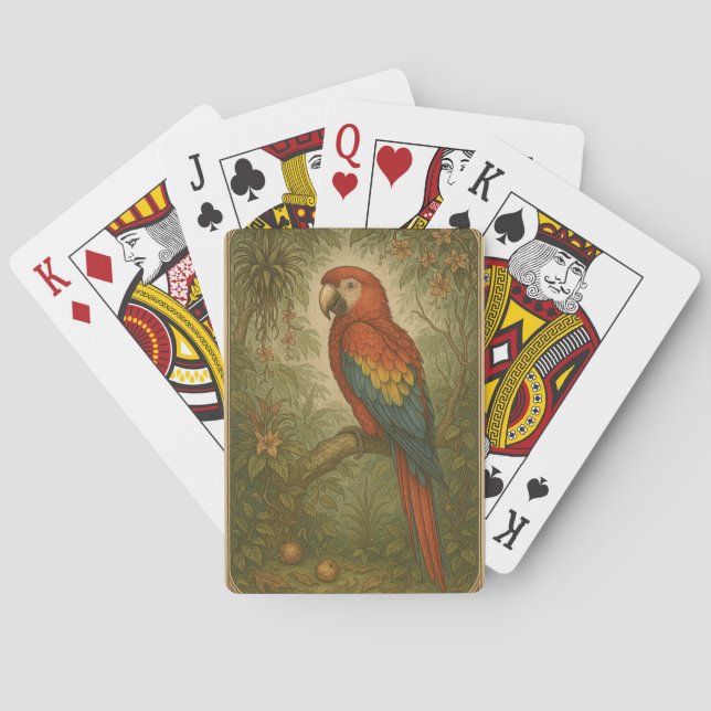 Jeu De Cartes Canopy Sentinel - Le Scarlet Macaw (dos)