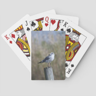 Jeu De Cartes Capsule à la poste