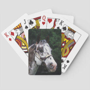 Jeu De Cartes Capture d'écran Appaloosa Horse 2
