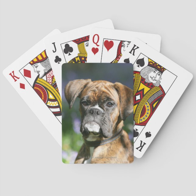 Jeu De Cartes Capture d'écran du chien de boxe (dos)