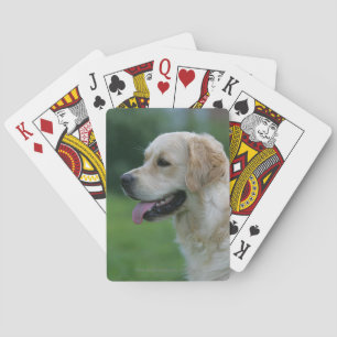 Jeu De Cartes Capture d'écran Golden Retriever 2 2
