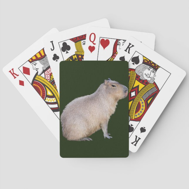 Jeu De Cartes Capybara (dos)