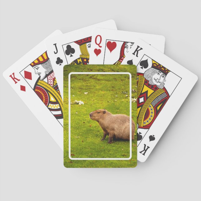 Jeu De Cartes Capybara (dos)