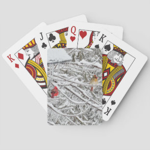 Jeu De Cartes Cardinal