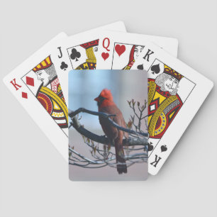 Jeu De Cartes Cardinal