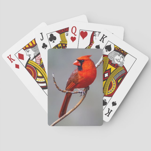 Jeu De Cartes Cardinal Cardinal (dos)