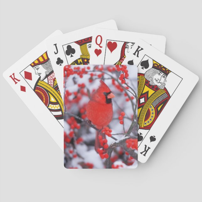 Jeu De Cartes Cardinal rouge mâle, Hiver, IL (dos)