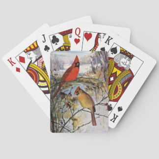 Jeu De Cartes Cardinaux en hiver