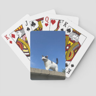 Jeu De Cartes Cards 歌 う 猫 du プ du parc ン