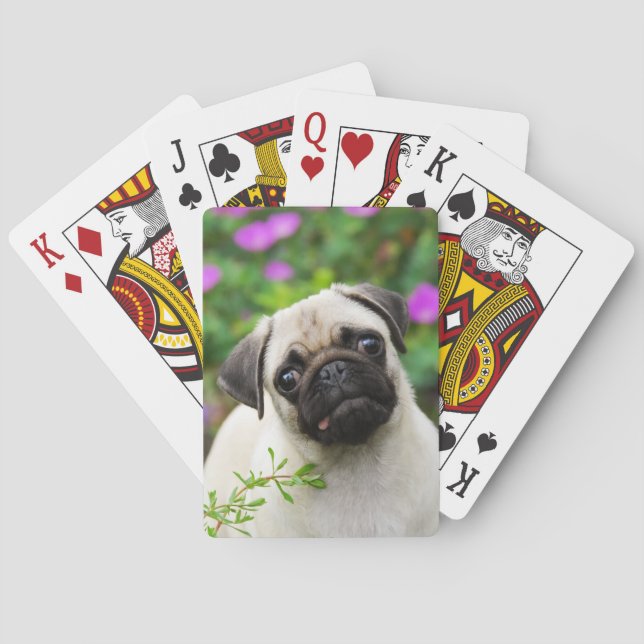 Jeu De Cartes Carlin de couleur pâle, coquelicot , photo de l'an (dos)