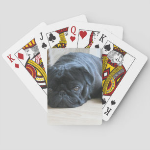 Jeu De Cartes Carlin noir mignon Dormir