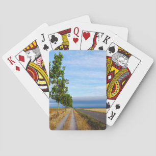 Jeu De Cartes Carretera Hacia Reliegos