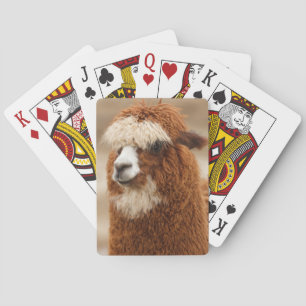 Jeu De Cartes Carte à jouer Alpaca