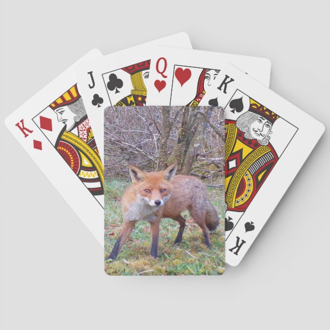 Jeu De Cartes Carte de famille inspirée de la nature automnale a (dos)