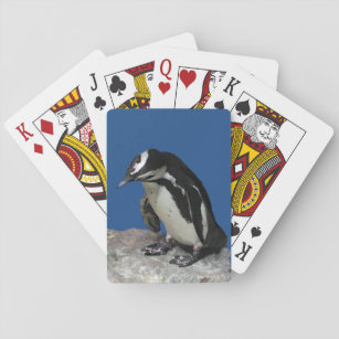 Jeu De Cartes Carte de jeu de pingouins africains