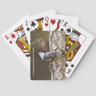 Jeu De Cartes Cartes bleues