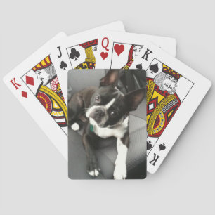 Jeu De Cartes Cartes Boston Terrier Buddy