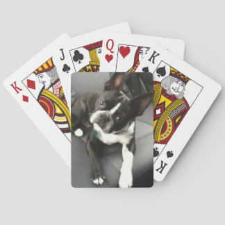 Jeu De Cartes Cartes Boston Terrier Buddy