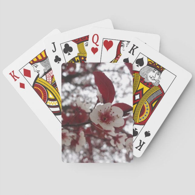 Jeu De Cartes Cartes de beauté Crimson (dos)