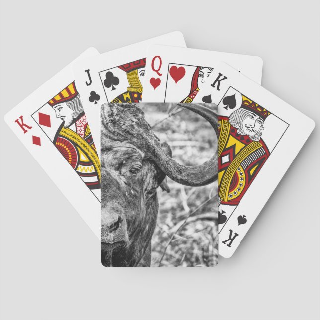 Jeu De Cartes Cartes de jeu africaines de portrait de Buffalo de (dos)