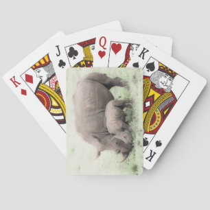 Jeu De Cartes Cartes de jeu blanches de l'Afrique de rhinocéros