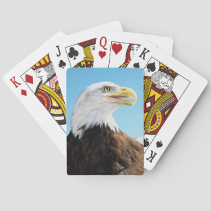 Jeu De Cartes Cartes de jeu d'aigle