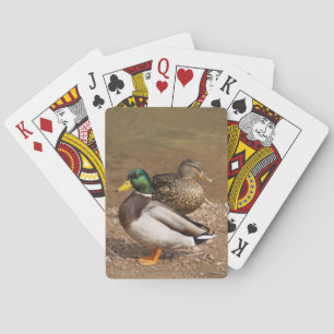 Jeu De Cartes Cartes de jeu de canards de Mallard