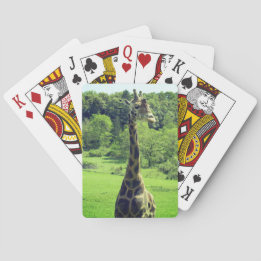 Jeu De Cartes Cartes de jeu de girafe
