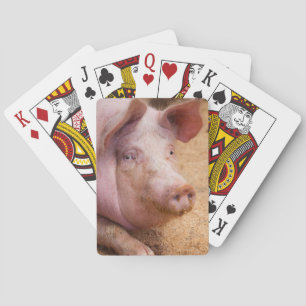 Jeu De Cartes Cartes de jeu de porc
