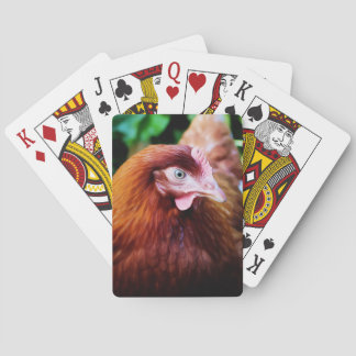 Jeu De Cartes Cartes de jeu de poulet