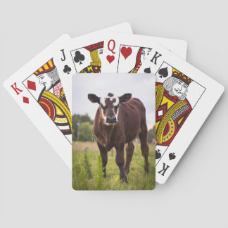 Jeu De Cartes Cartes de jeu de vache