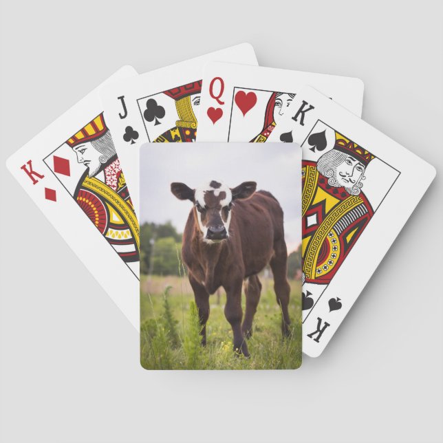 Jeu De Cartes Cartes de jeu de vache (dos)