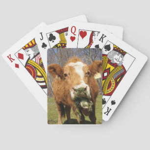 Jeu De Cartes Cartes De Jeu De Vache