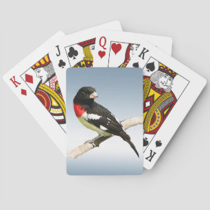 Jeu De Cartes Cartes de jeu d'oiseau de gros-bec de