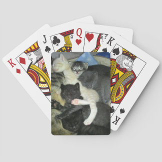 Jeu De Cartes Cartes de jeu faisantes une sieste de chatons,