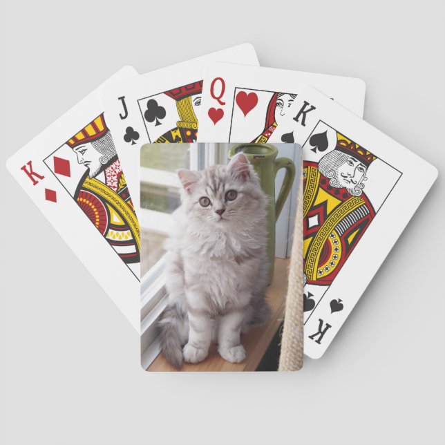 Jeu De Cartes Cartes de jeu faites sur commande de chaton de (dos)