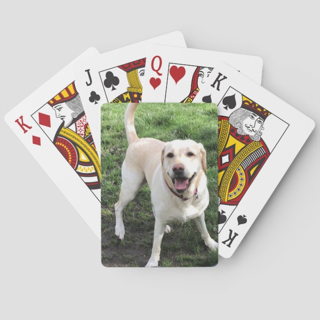 Jeu De Cartes Cartes de jeu Labrador (dos)