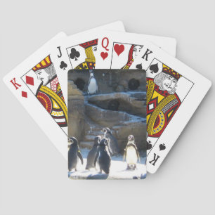 Jeu De Cartes Cartes de jeu mignonnes de penquins de zoo